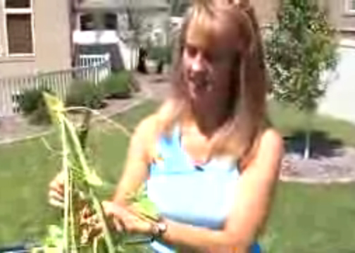 Gardening To Have Low Cost Health Food Video